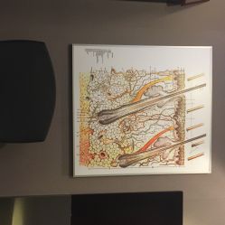 史云逊健发中心(港汇店)-史云逊养发中心