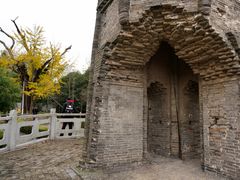 -上海佘山国家森林公园天马山园