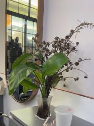 -New Fashion·新时尚形象设计