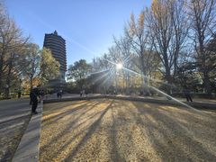 -玲珑塔公园