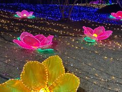-青龙湖公园