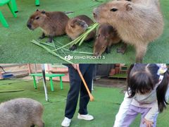 -盈香心动乐园