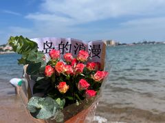 -栈桥景区