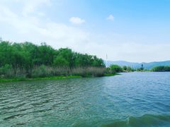 -长兴太湖图影湿地文化园