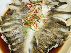 -紫光园(燕郊总店)