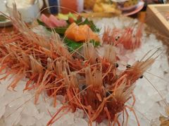 -月龍吟(朝龙汇店)