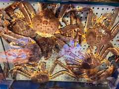 -开海·红岛海鲜虾水饺(石老人店)