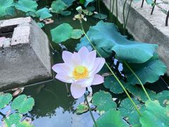 -罔极寺