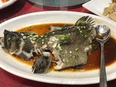 清蒸龙趸-金满楼(天河中路店)