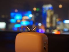 -诺莱仕游艇会