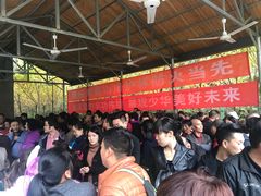 -少华山国家森林公园