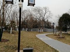-西海子公园