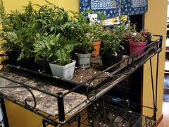 -密讯馆密室逃脱&换装侦探剧(环球港旗舰店)