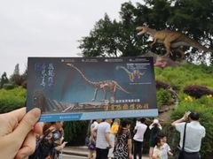 -自贡恐龙博物馆