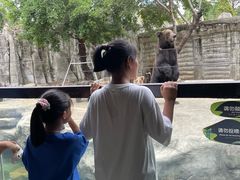 -灵玲国际马戏城