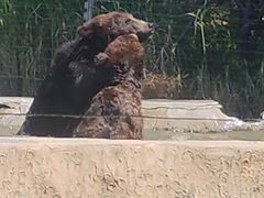 -秦皇岛野生动物园