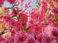 -朝阳公园