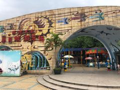 -顺德大良半月城游乐场