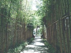 -龙潭水乡