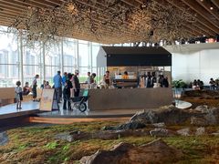 -Seesaw Coffee(朝阳大悦城店)