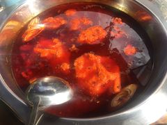 -金鼎雪山牦牛杂火锅(理县总店)