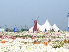 -深业半汤御泉庄温泉