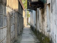 -金泽古镇