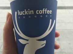 -瑞幸咖啡(蚌埠凤凰国际店)