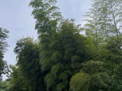 -南北湖风景区