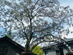 -莫干山风景区