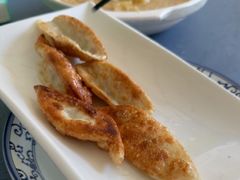 -东方饺子王(新阳路店)