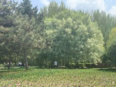 -长春公园(普阳街道)