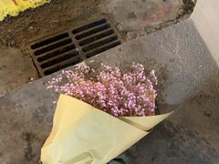 -思北花生汤