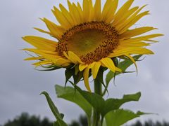 -长春公园(普阳街道)