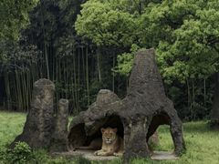 -杭州野生动物世界