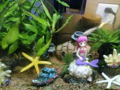 -大润发(姑嫂树店)