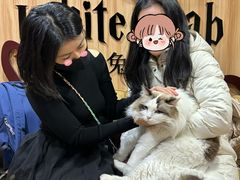 -白兔子密室(长寿路店)