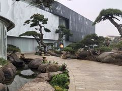 -罗红摄影艺术馆