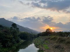 -羚羊峡古栈道森林公园