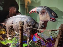 -恐龙探索乐园(磁器口店)