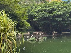 -九龙公园