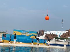 -秦皇岛乐岛海洋王国