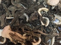 -协顺园回头馆(南顺城路店)