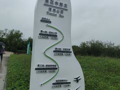 -黑瞎子岛探秘野熊园