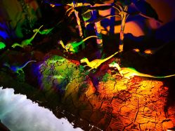 点击看大图 -恐龙探索乐园(磁器口店)