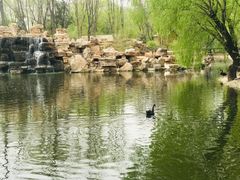 -石家庄市动物园