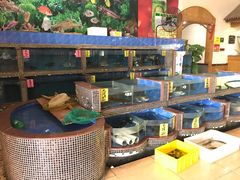-鹅公村食府(罗阳分店)