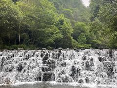 -石台牯牛降景区