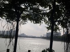 -南宁南湖公园