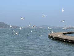 -水上明月·湖景餐厅